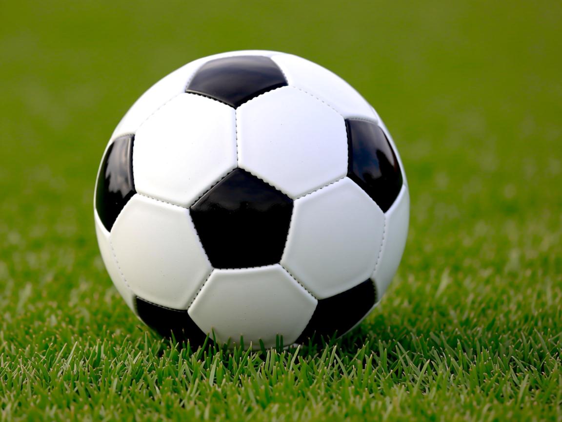 爱游戏app推荐-“东安湖赛场：水上龙舟激烈角逐，冠军争夺战火热开战”  第2张