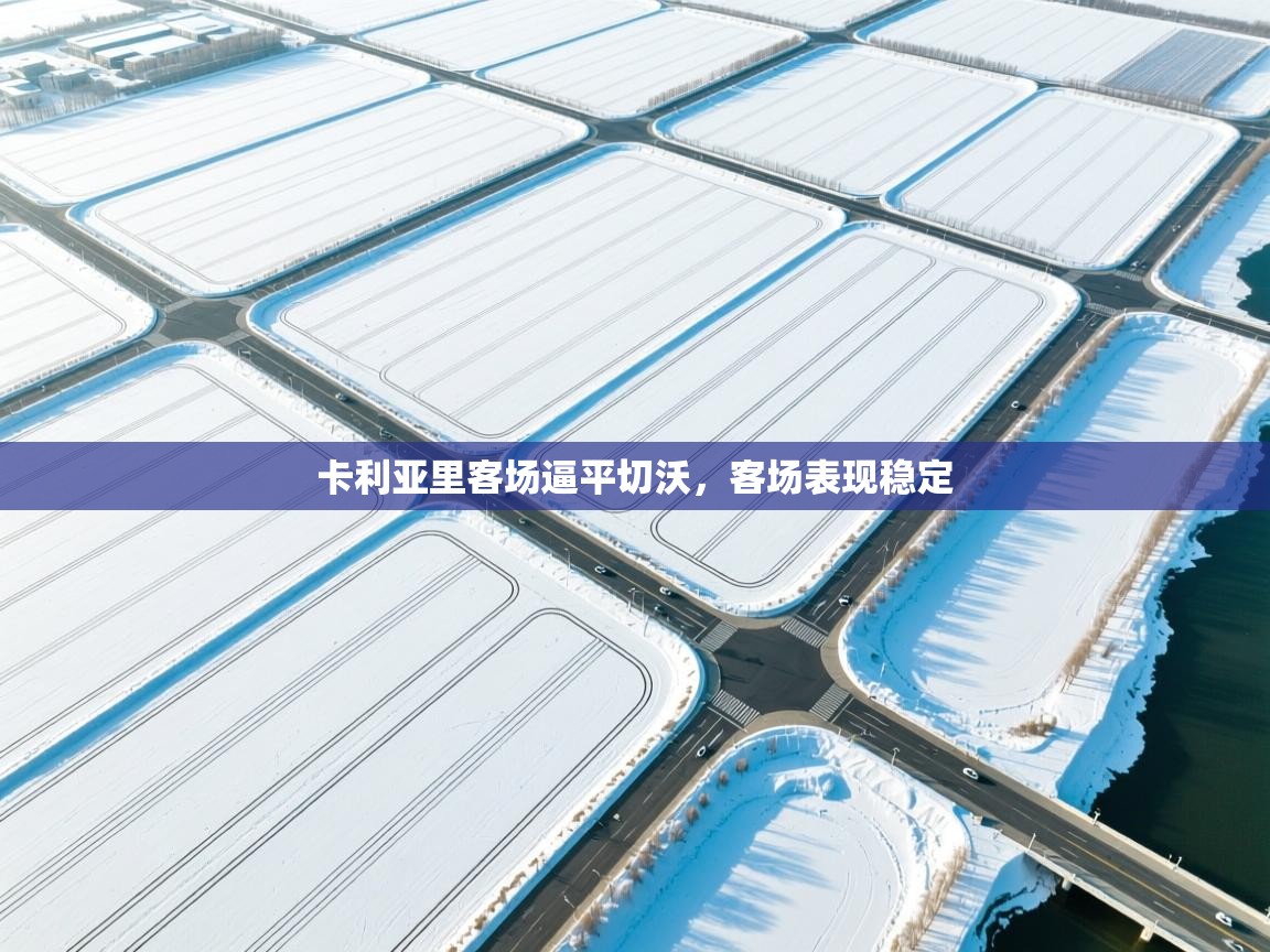 卡利亚里客场逼平切沃,客场表现稳定 第2张