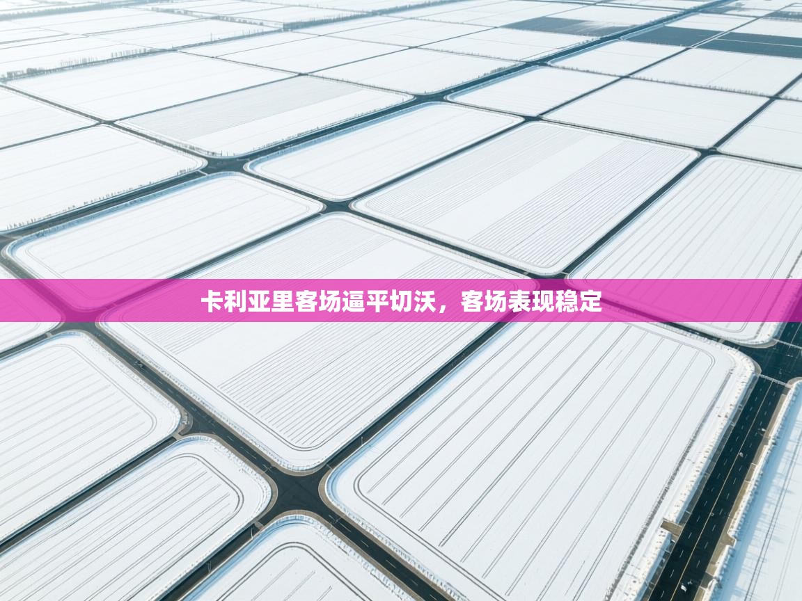 卡利亚里客场逼平切沃,客场表现稳定 第1张