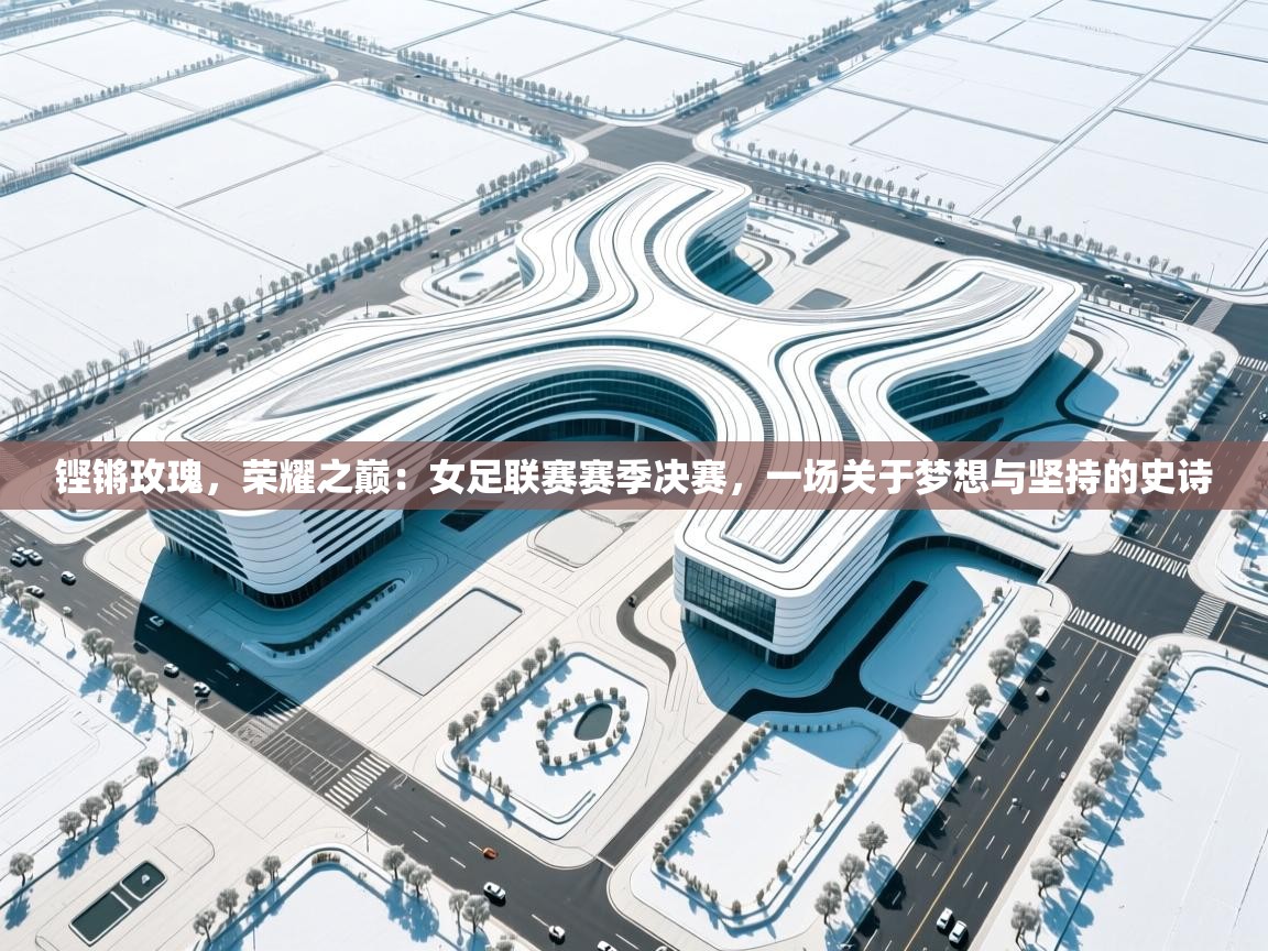 铿锵玫瑰，荣耀之巅：女足联赛赛季决赛，一场关于梦想与坚持的史诗  第1张